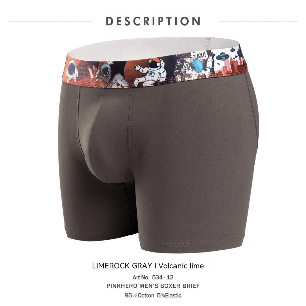 NS Graphic Band Boxers