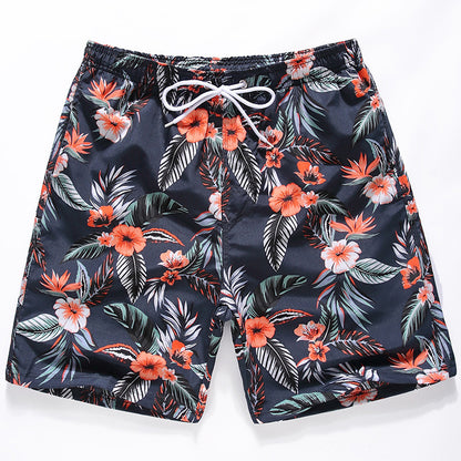 NS Summer Shorts Collection